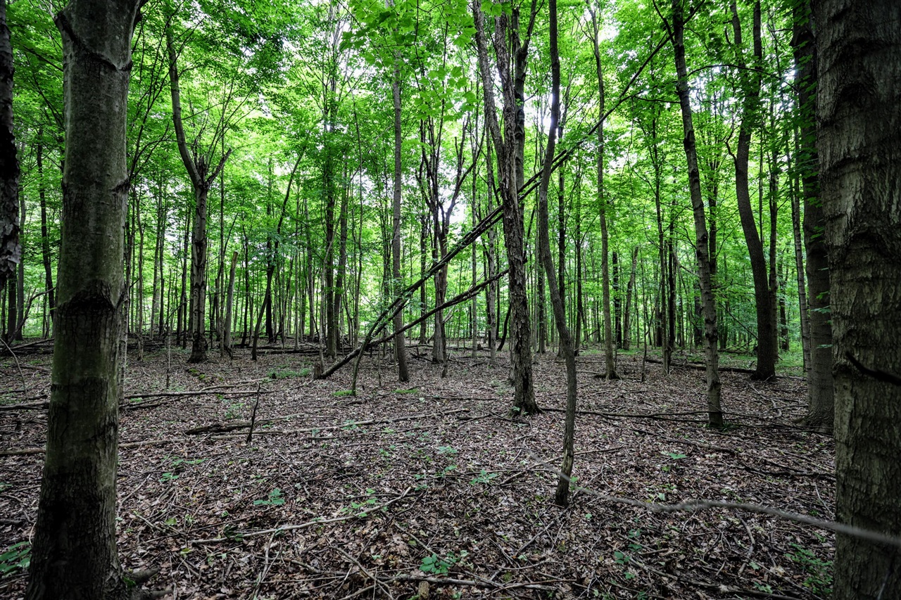 Vl Black River Rd Property Photo 17