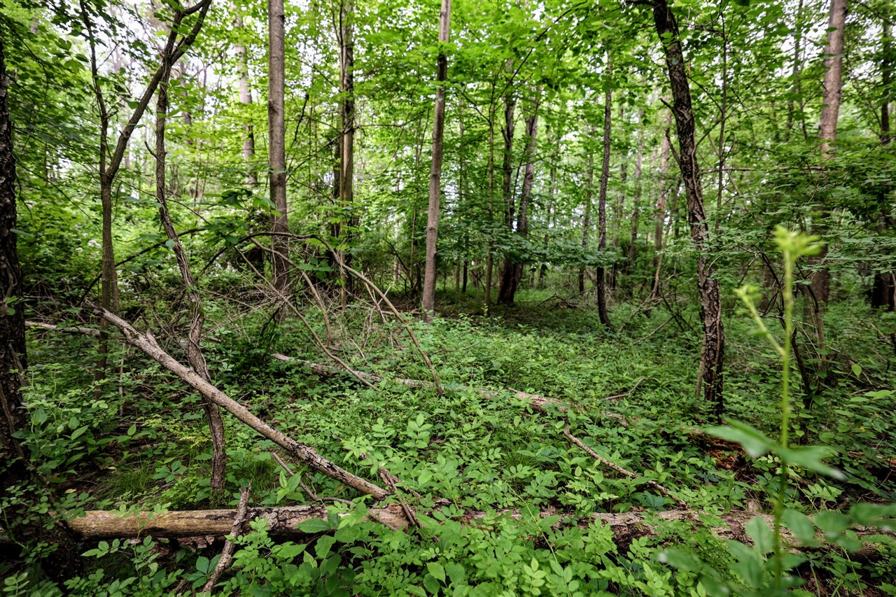 Vl Black River Rd Property Photo 19