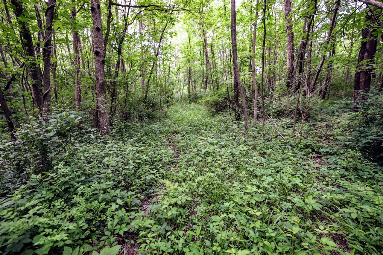 Vl Black River Rd Property Photo 20