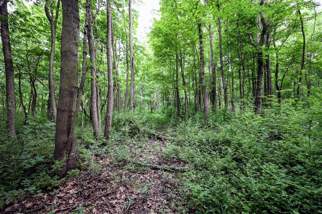 Vl Black River Rd Property Photo 25