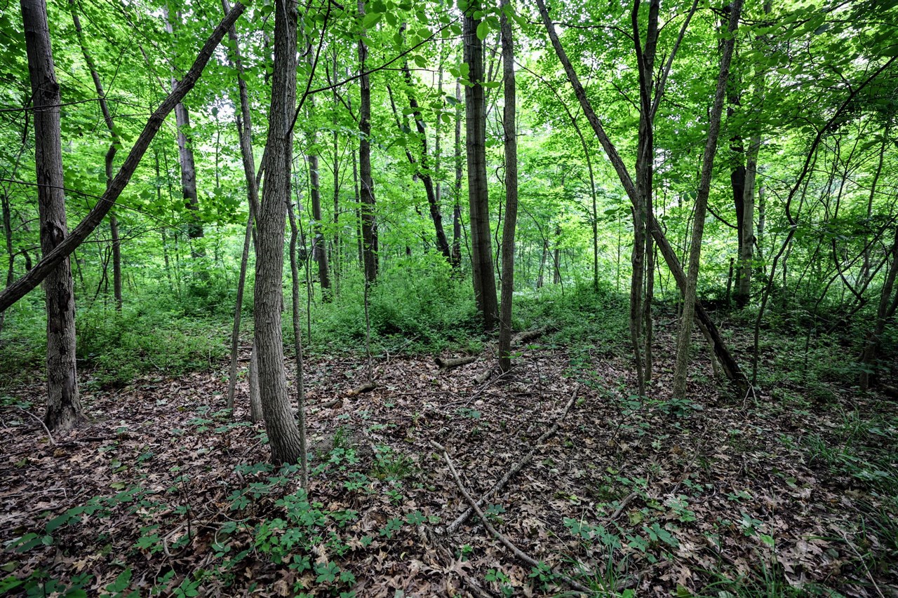 Vl Black River Rd Property Photo 26