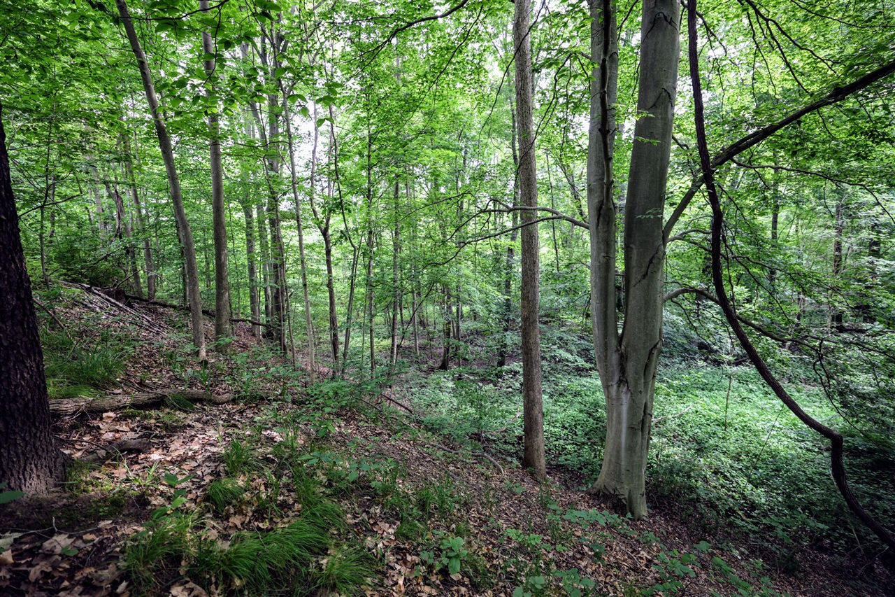 Vl Black River Rd Property Photo 29