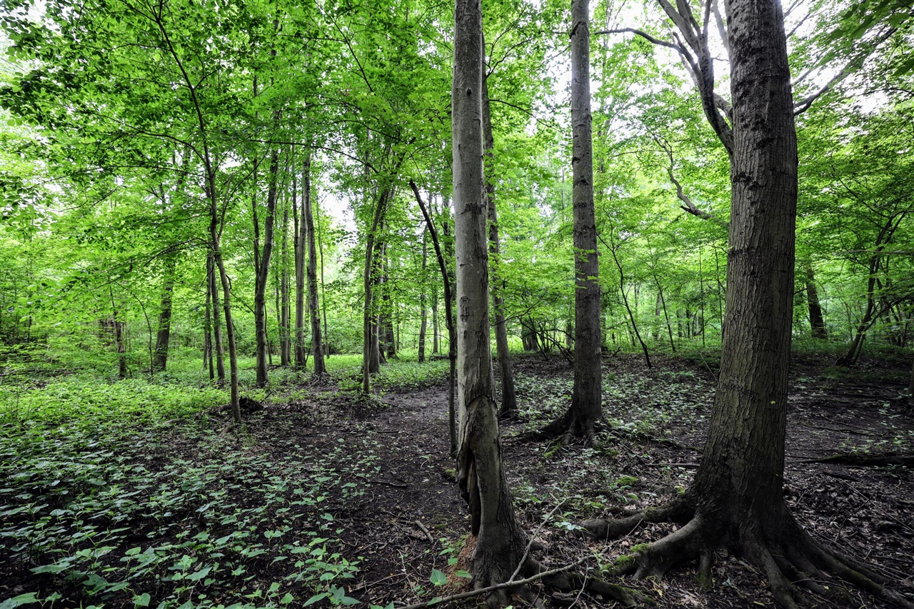 Vl Black River Rd Property Photo 30