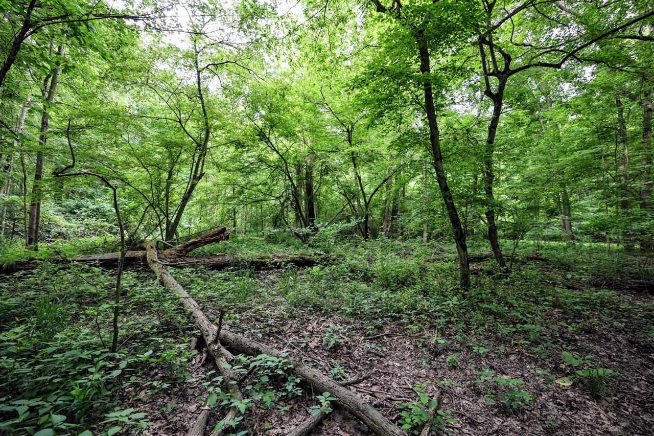 Vl Black River Rd Property Photo 31