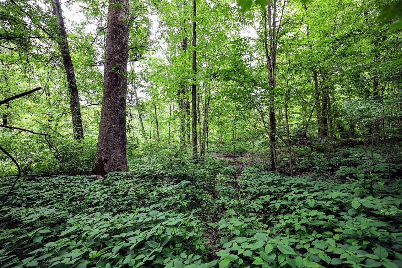 Vl Black River Rd Property Photo 32