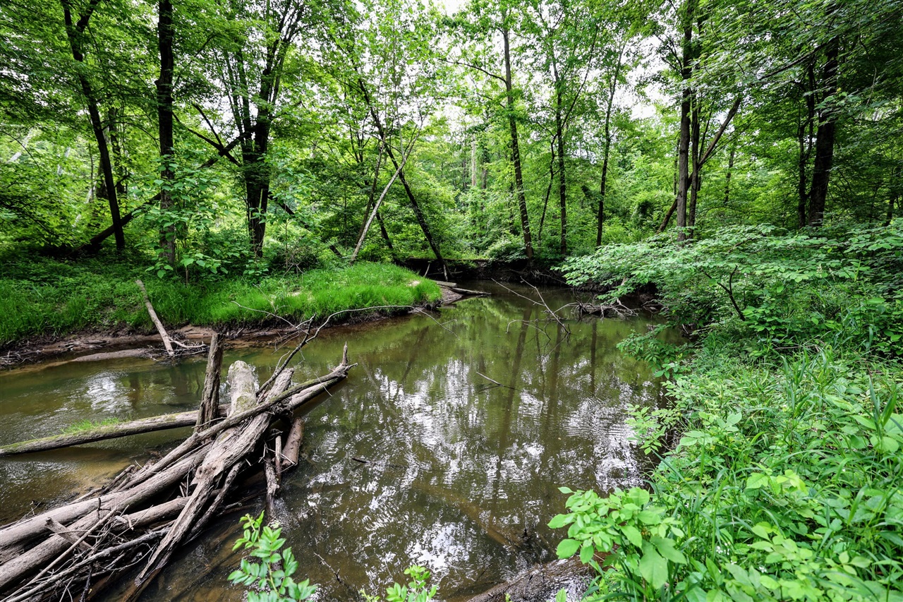 Vl Black River Rd Property Photo 33
