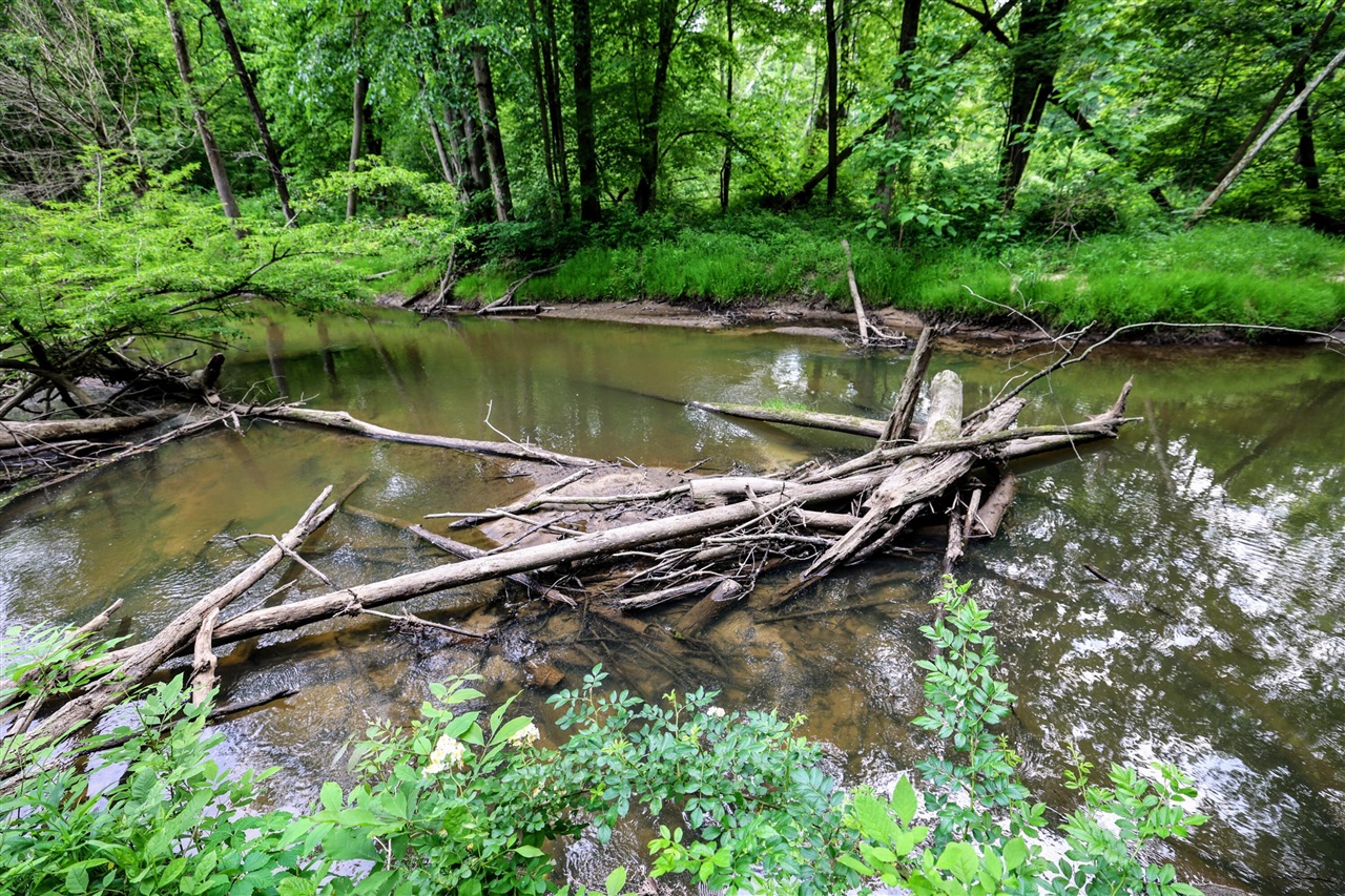 Vl Black River Rd Property Photo 34