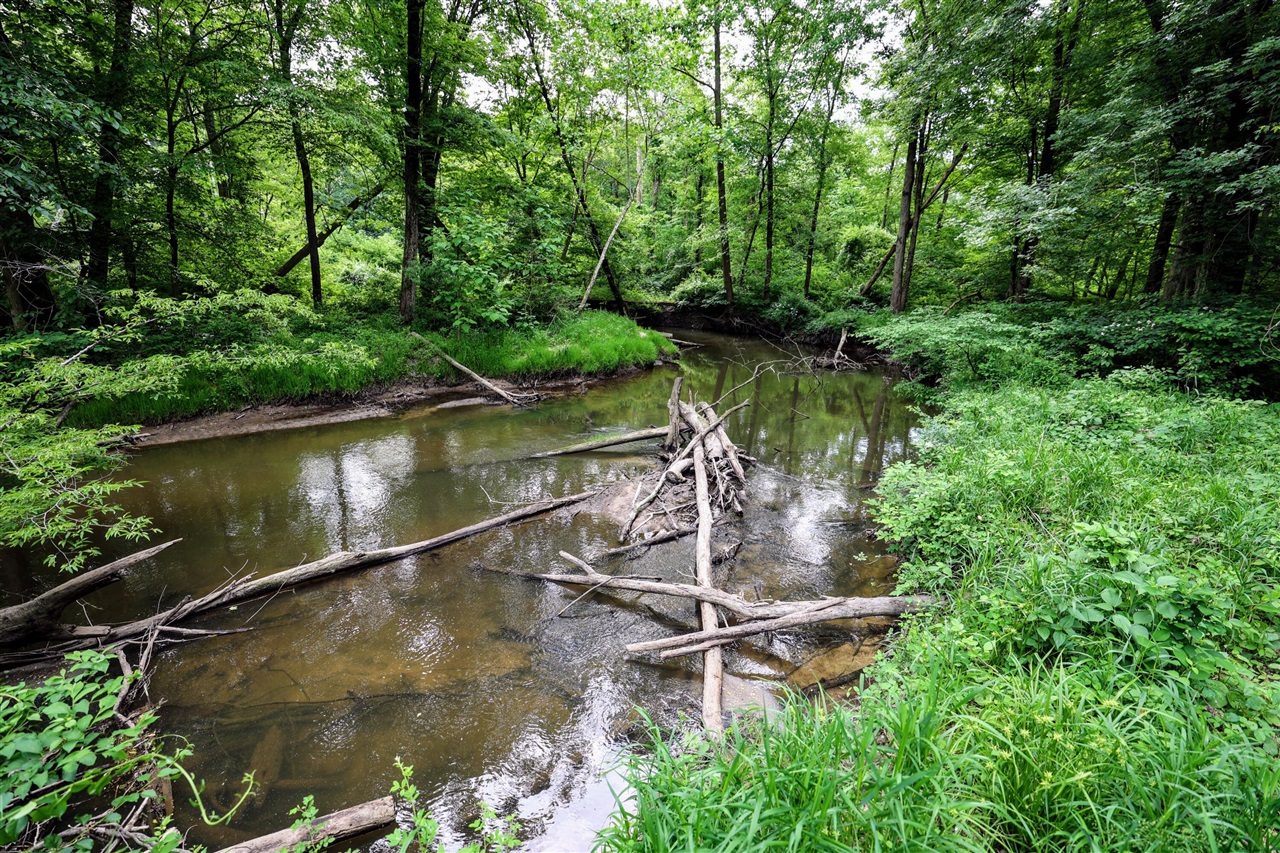 Vl Black River Rd Property Photo 35