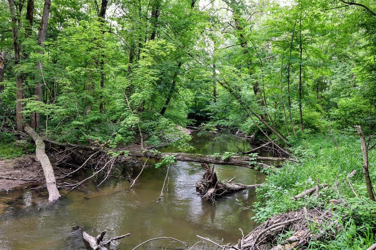 Vl Black River Rd Property Photo 37