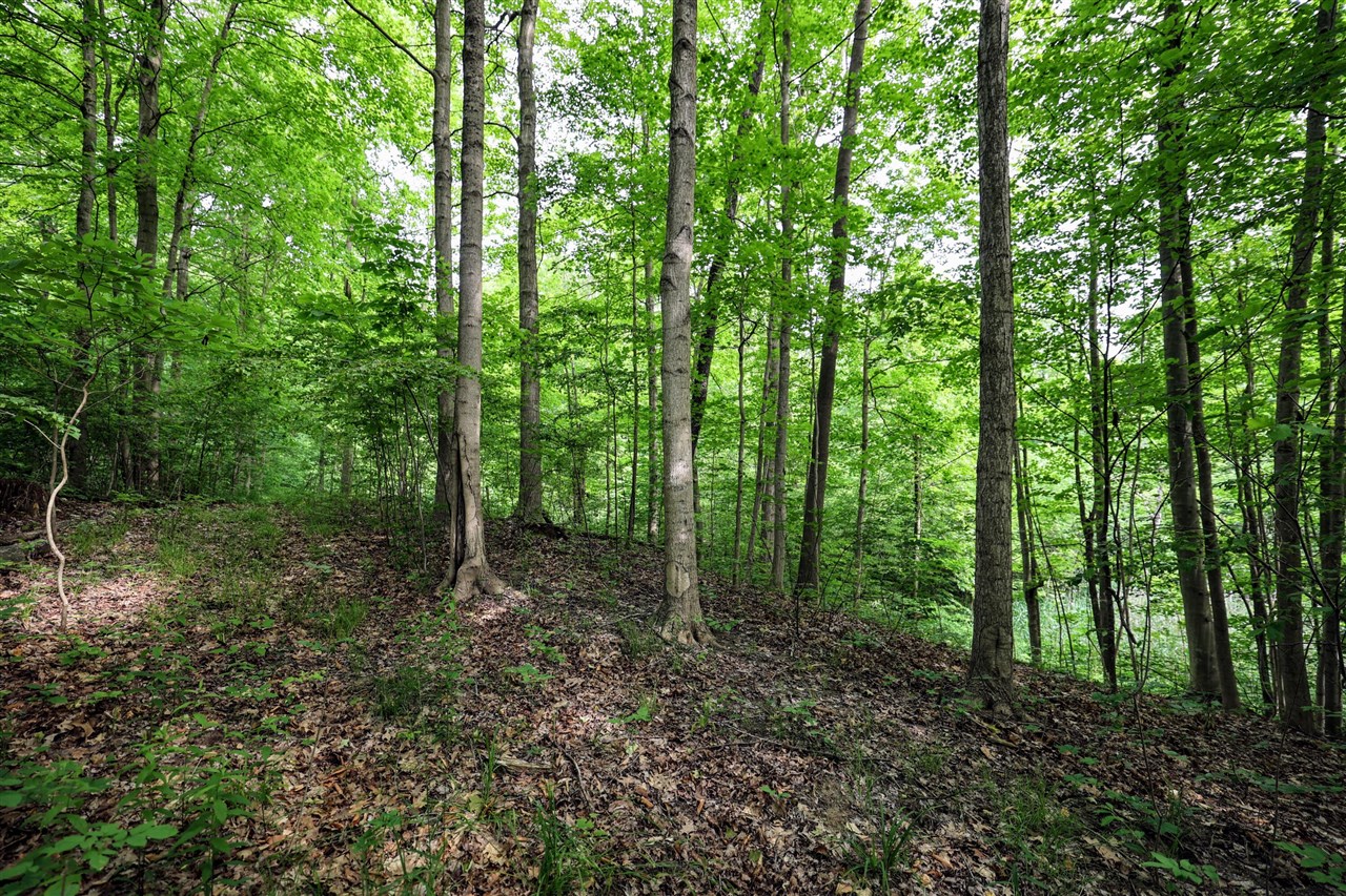 Vl Black River Rd Property Photo 40