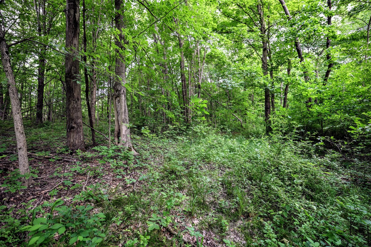 Vl Black River Rd Property Photo 41