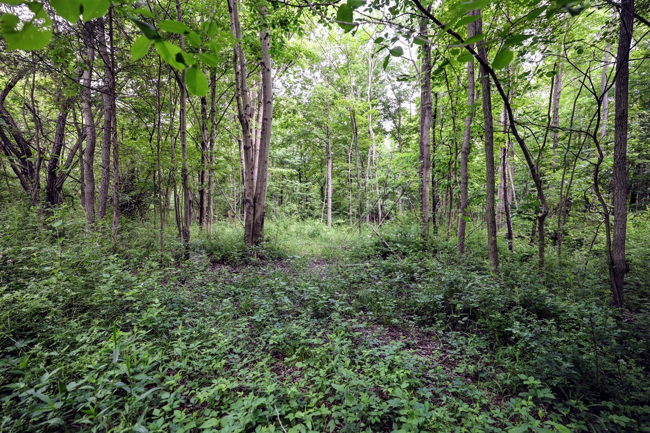 Vl Black River Rd Property Photo 44