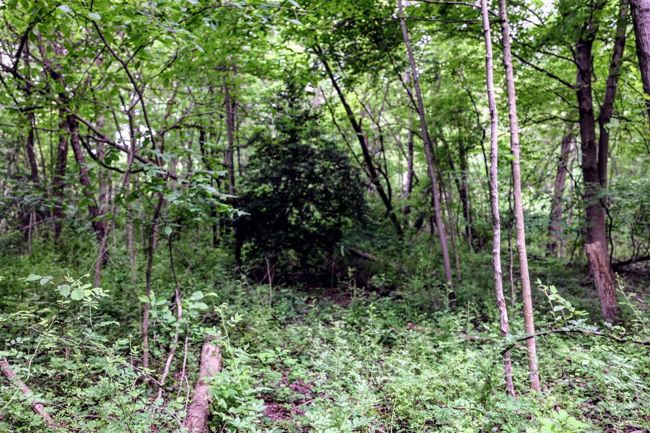Vl Black River Rd Property Photo 46