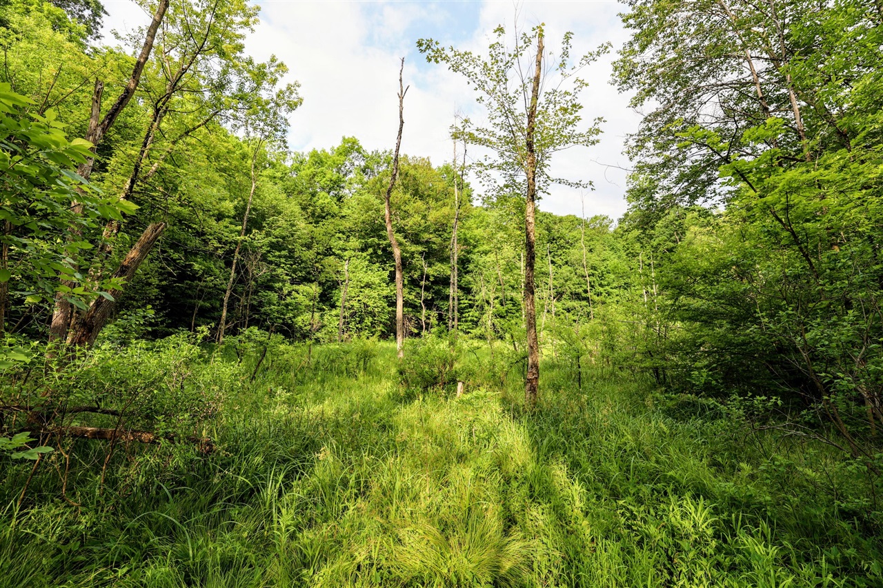 Vl Black River Rd Property Photo 53