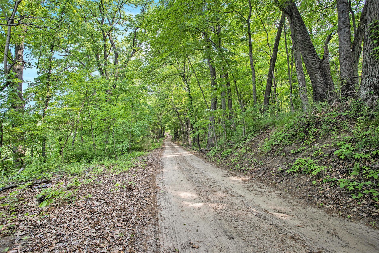 Vl County Road 354 Property Photo 24