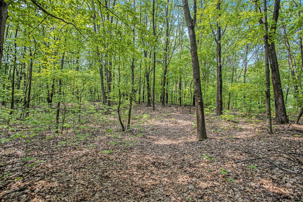 Vl County Road 354 Property Photo 26