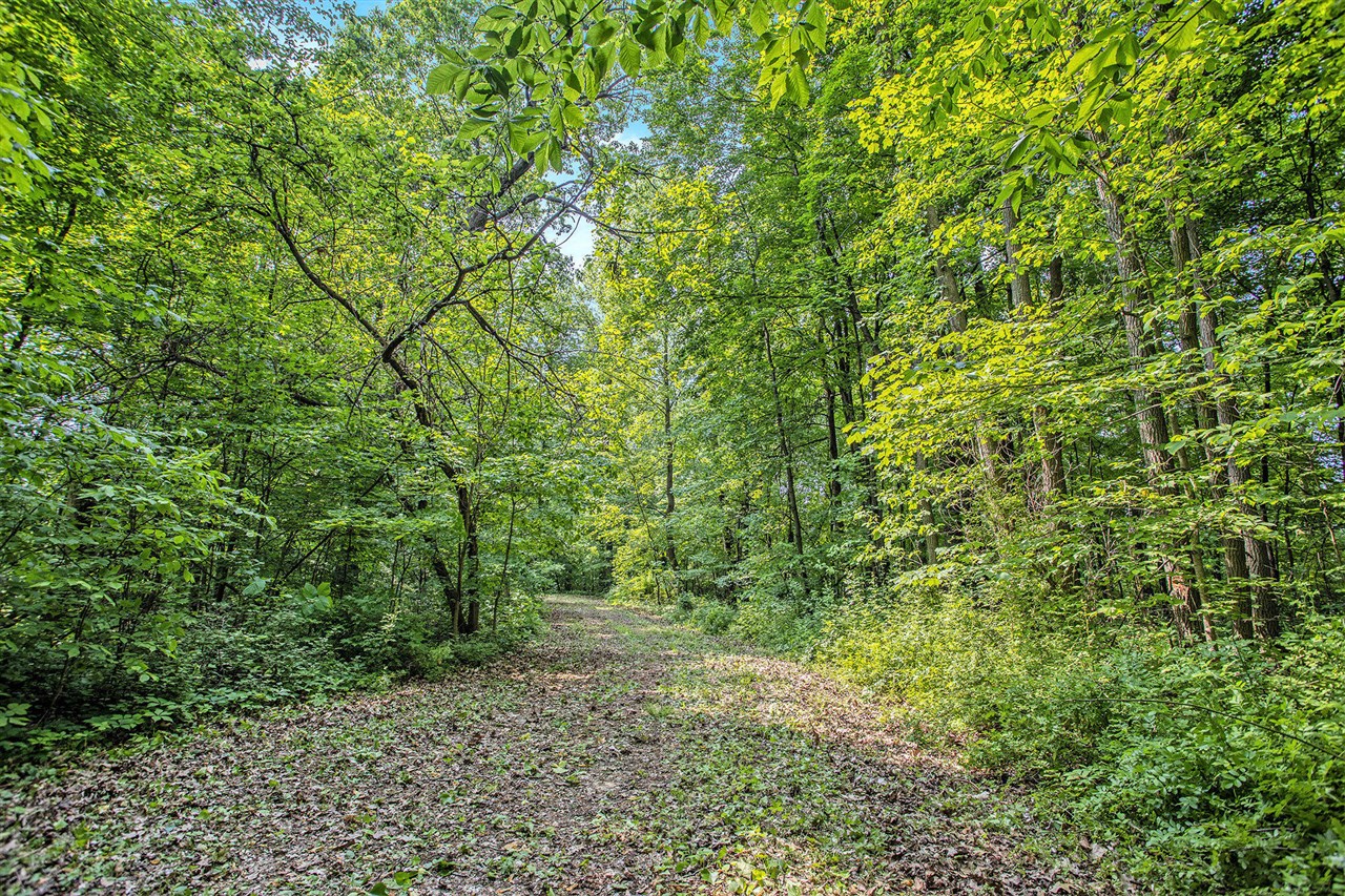Vl County Road 354 Property Photo 27