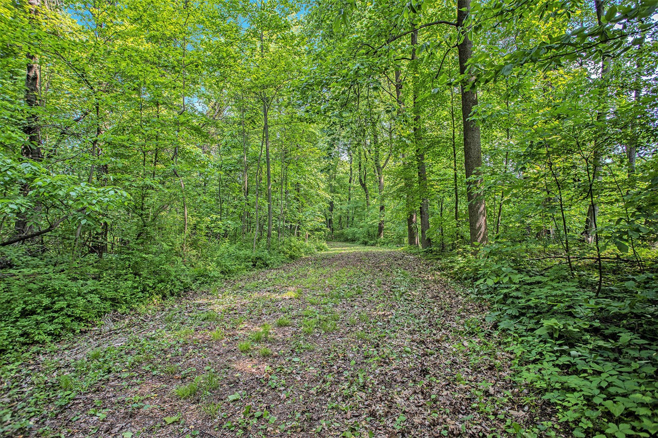 Vl County Road 354 Property Photo 30
