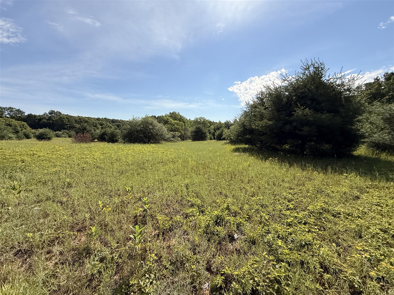 52 W Johnson Road Property Photo 27