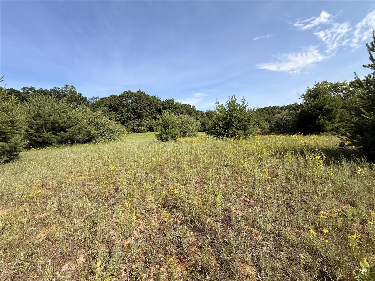 52 W Johnson Road Property Photo 29