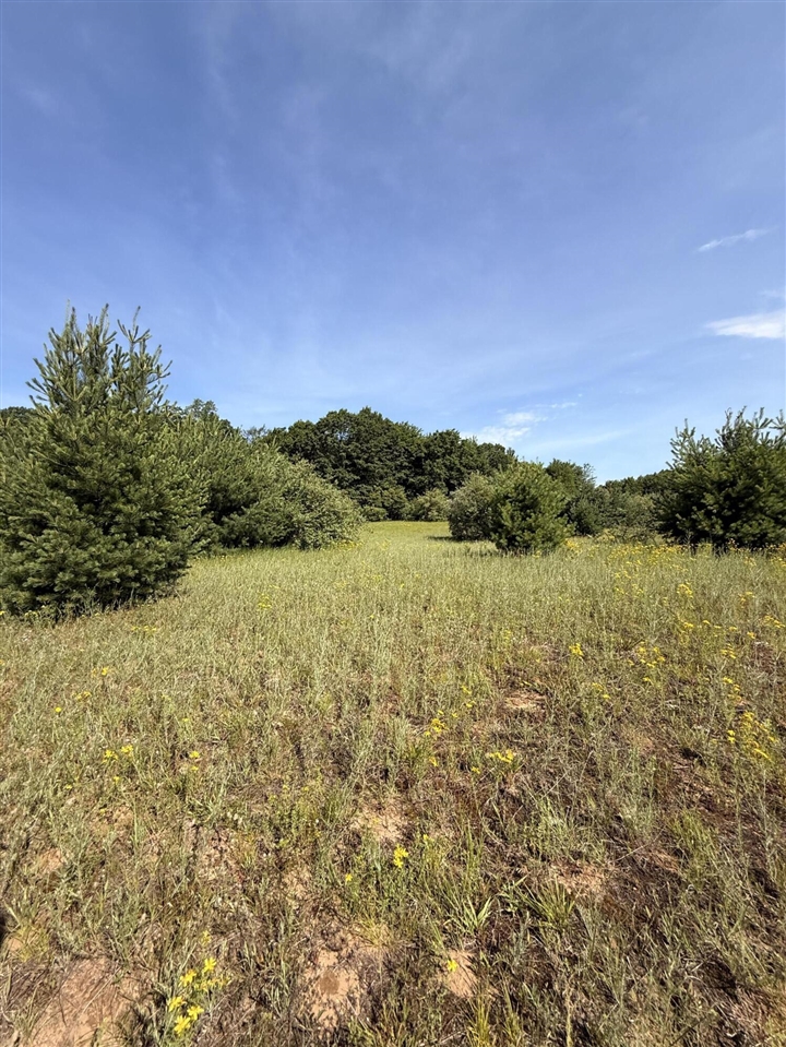 52 W Johnson Road Property Photo 34