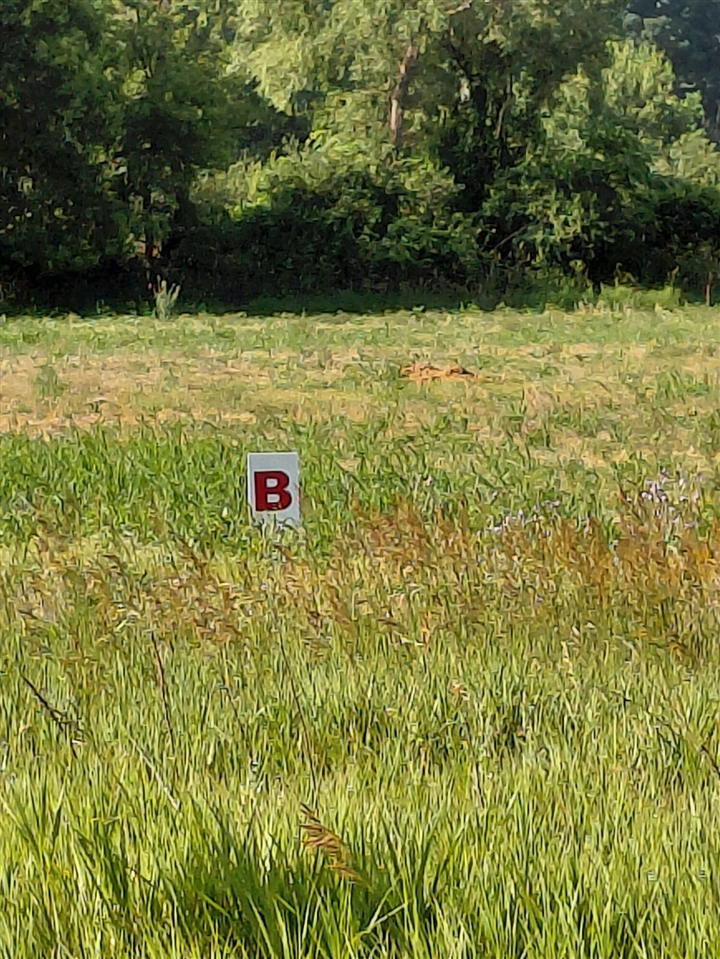Stony Lake Road Property Photo 1