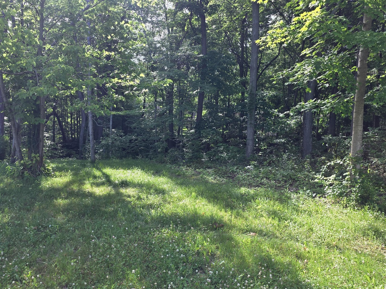 17643 Summerhill Lane Property Photo 2