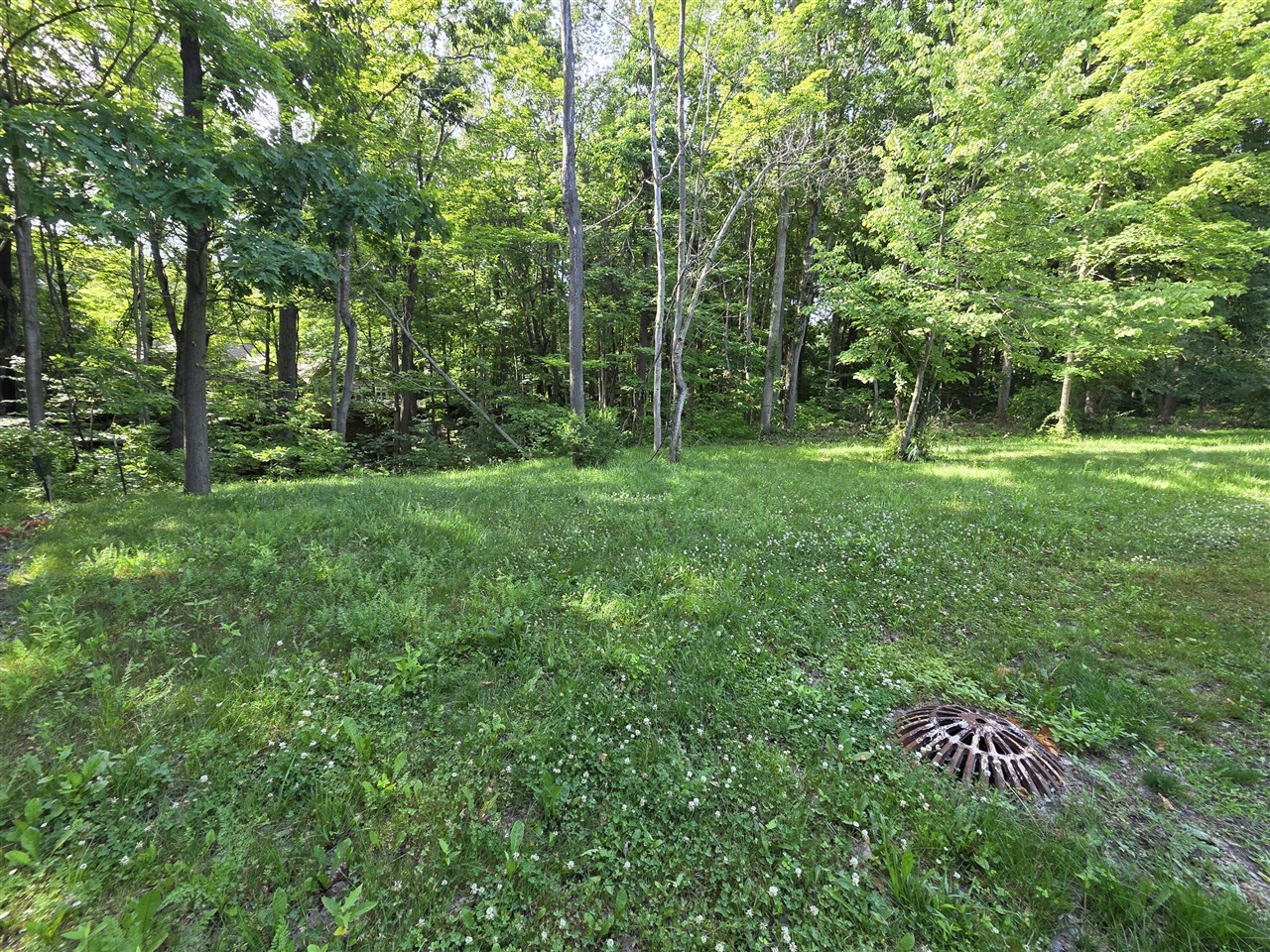 17643 Summerhill Lane Property Photo 5