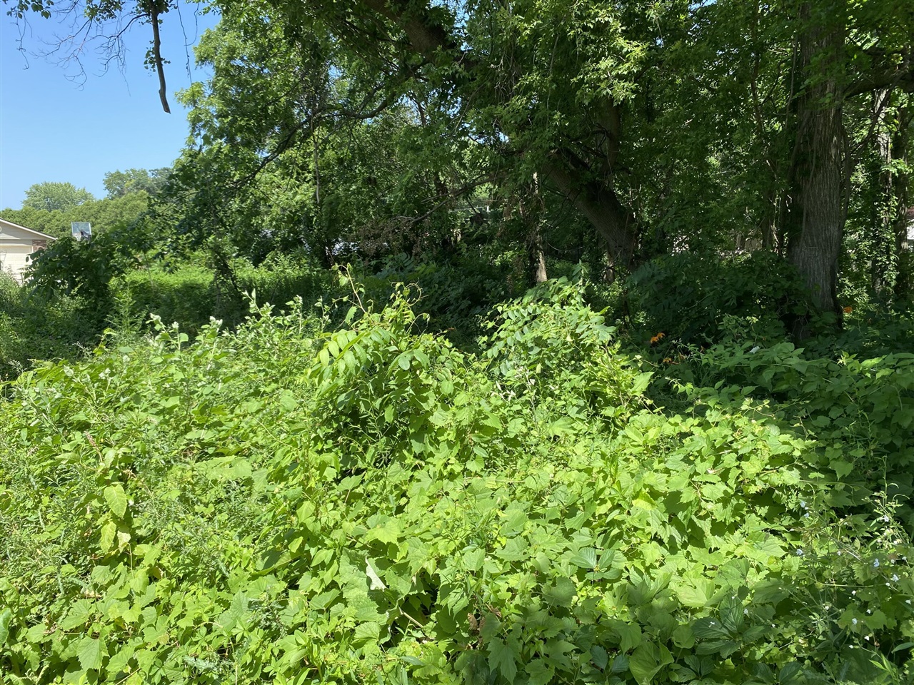 69025 Island Drive Property Photo 1