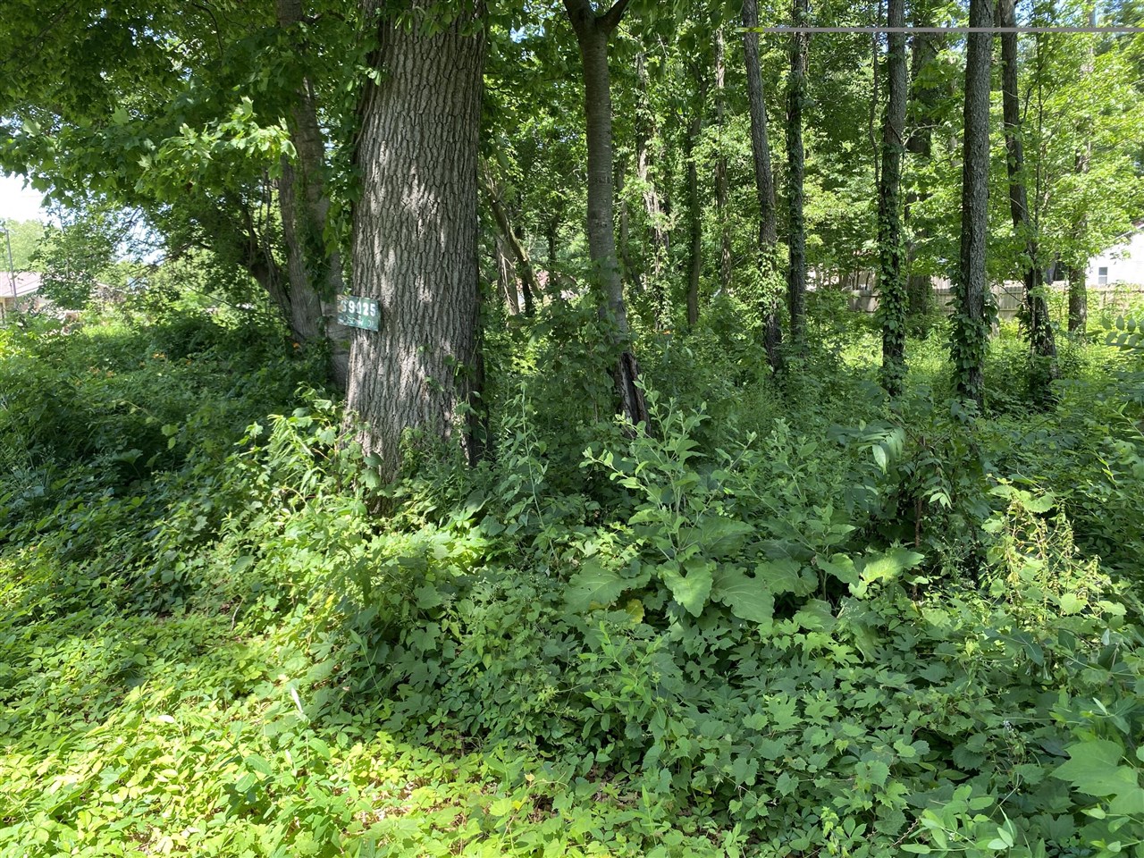 69025 Island Drive Property Photo 2
