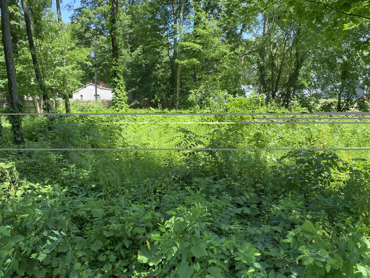 69025 Island Drive Property Photo 3