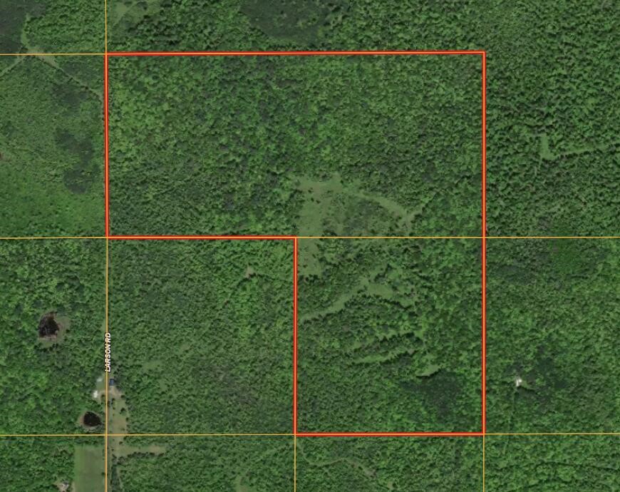 V/l Larson Road Property Photo 1