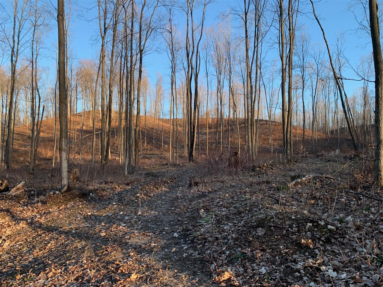 0 Off Of Chief Road Property Photo 1