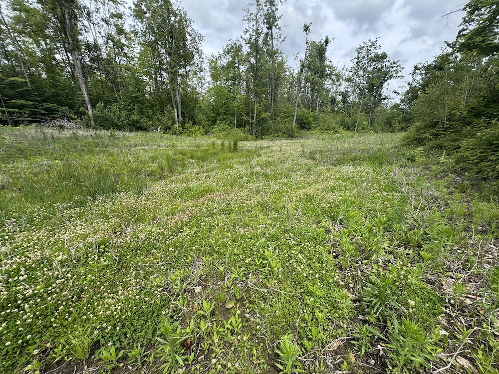 1692 N Galbraith Road Property Photo 4