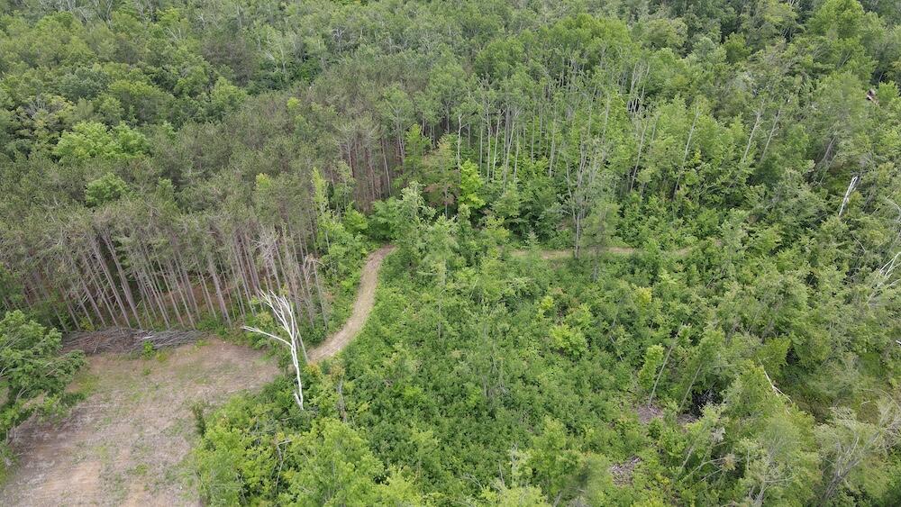1692 N Galbraith Road Property Photo 24