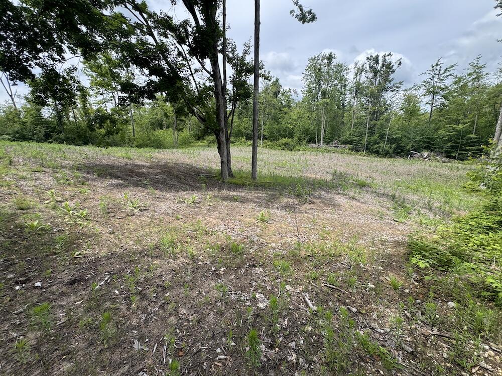 1692 N Galbraith Road Property Photo 35
