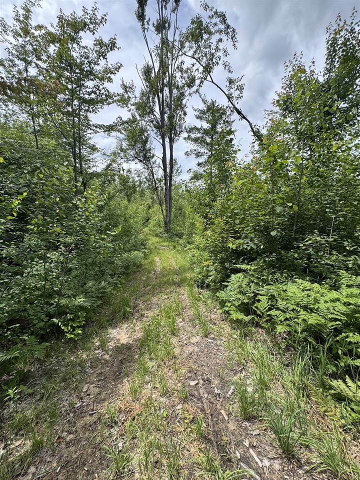 1692 N Galbraith Road Property Photo 80