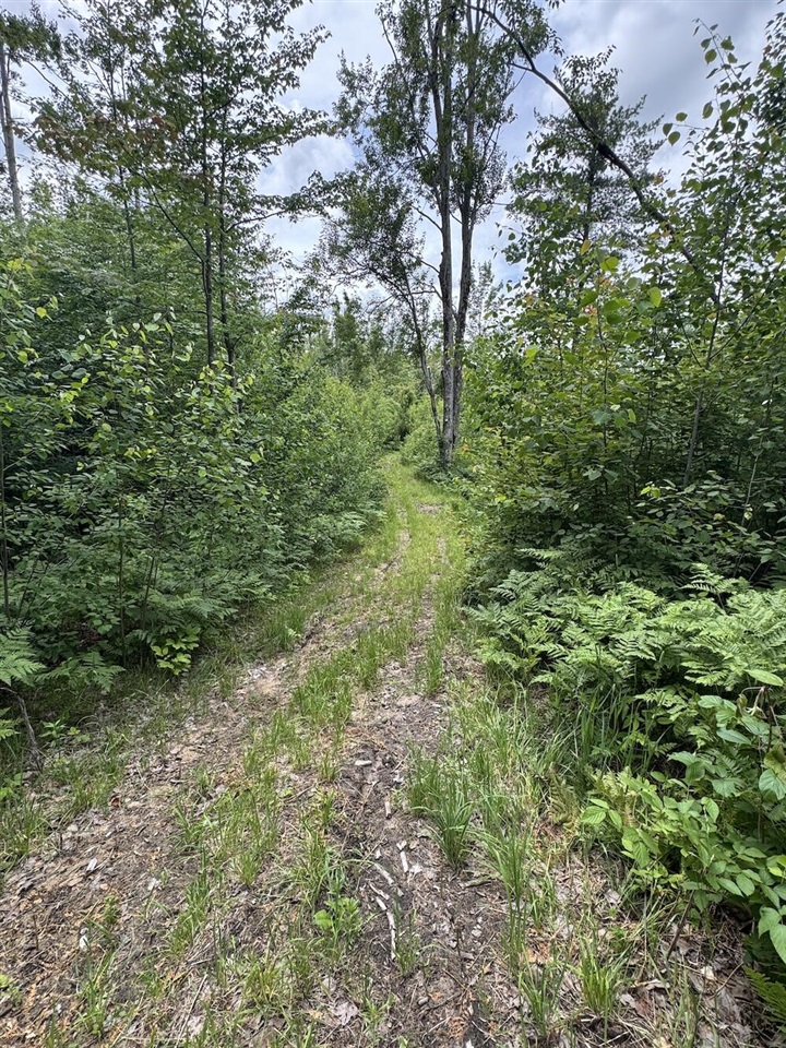 1692 N Galbraith Road Property Photo 82