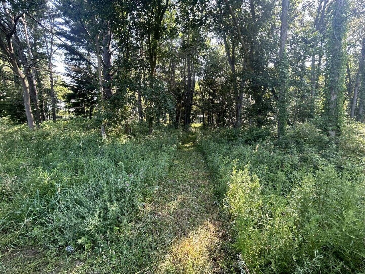 7509 Genesee Road Property Photo 5