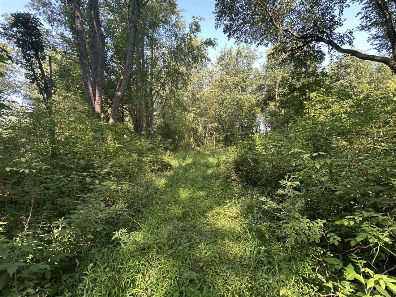 7509 Genesee Road Property Photo 6