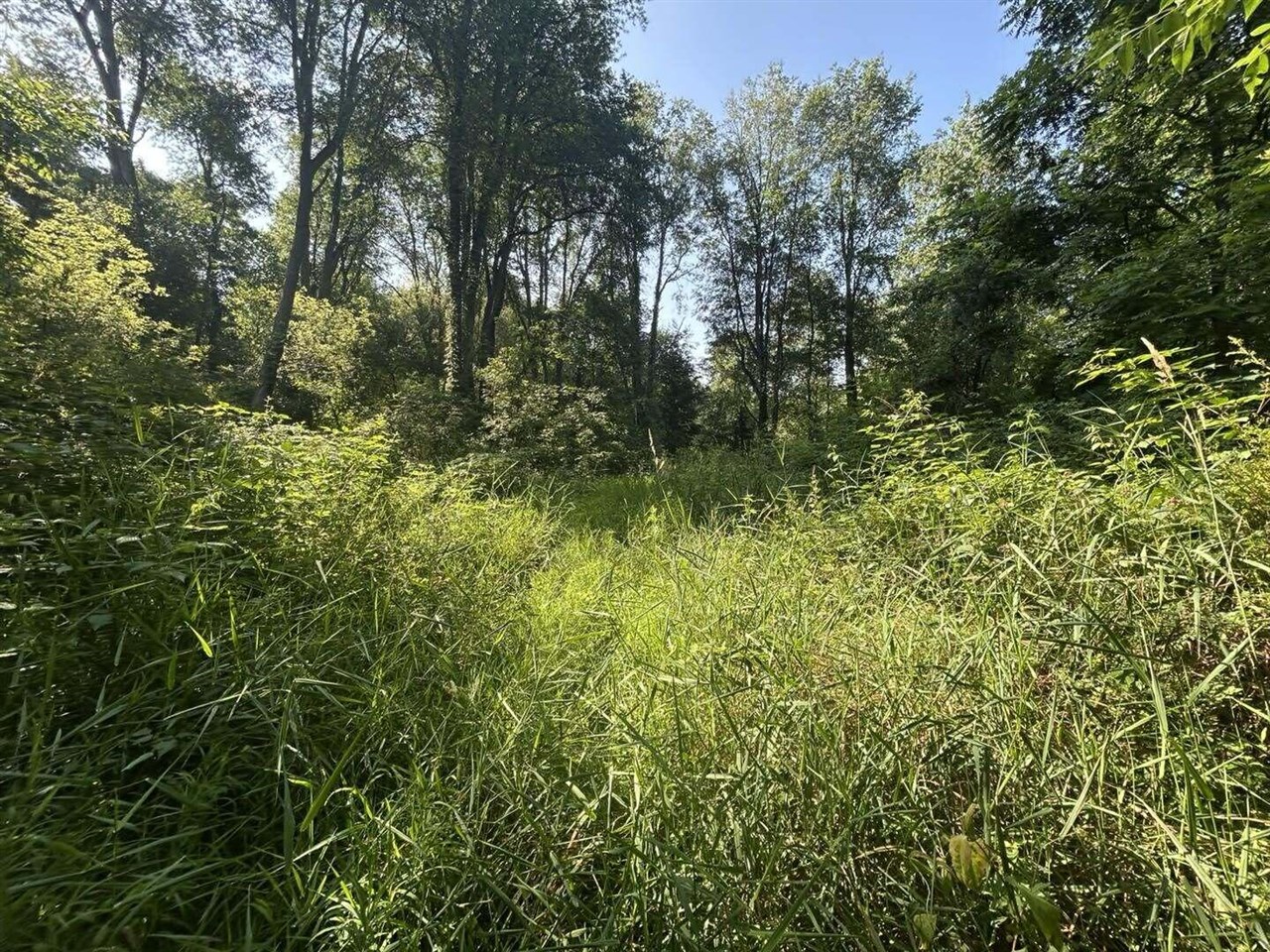 7509 Genesee Road Property Photo 7