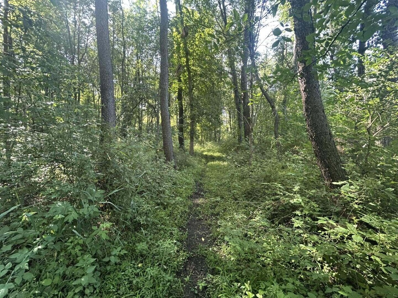 7509 Genesee Road Property Photo 8