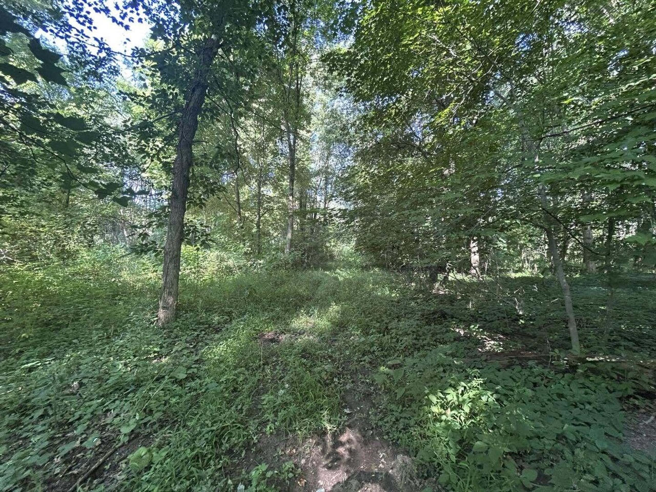 7509 Genesee Road Property Photo 9