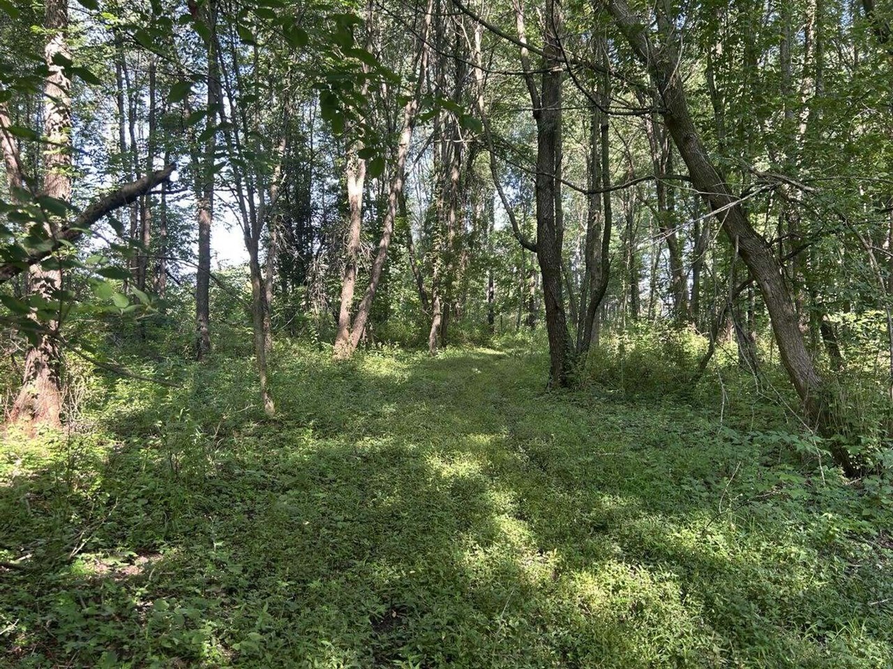7509 Genesee Road Property Photo 10