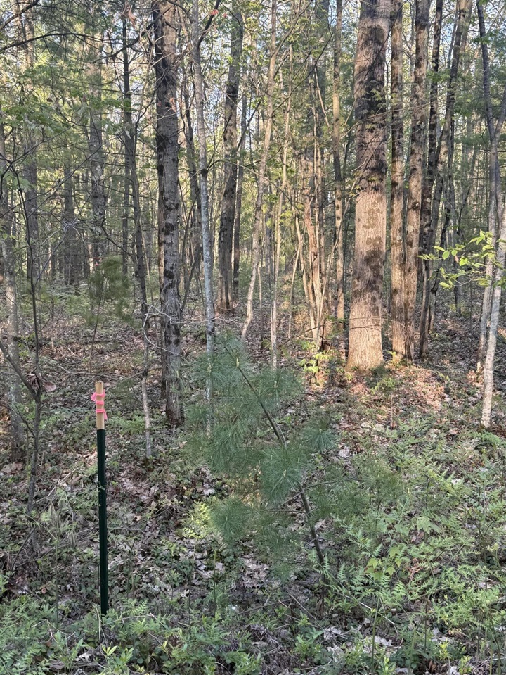N Woodland Avenue Property Photo 1