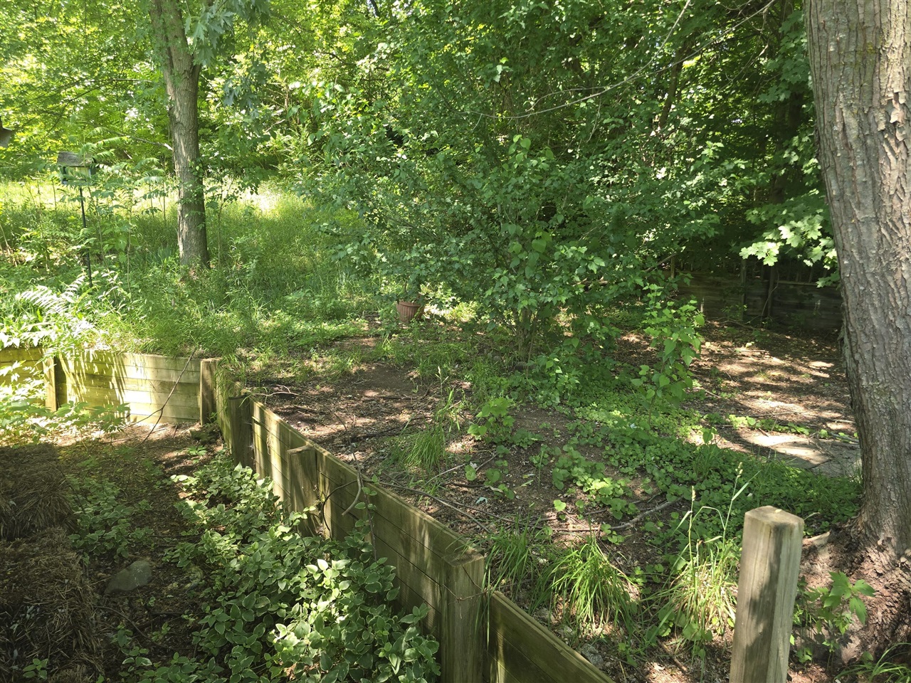 123 Sessions Road Property Photo 15