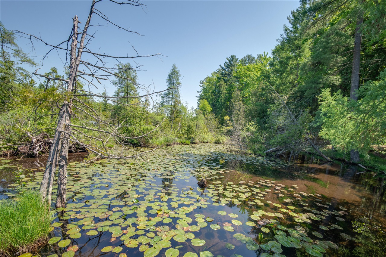 6954 Aarwood Property Photo 44