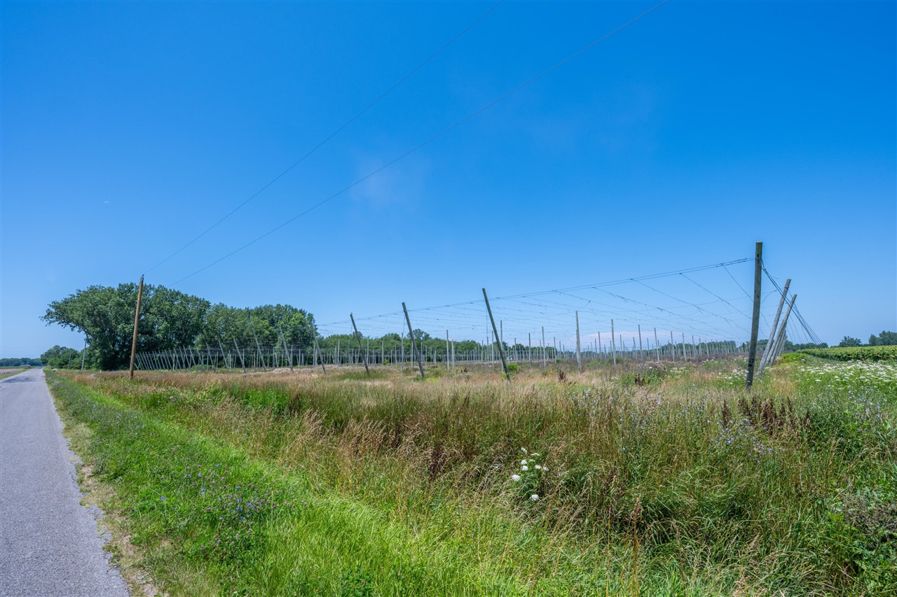 1129 Marrs Road Property Photo 6