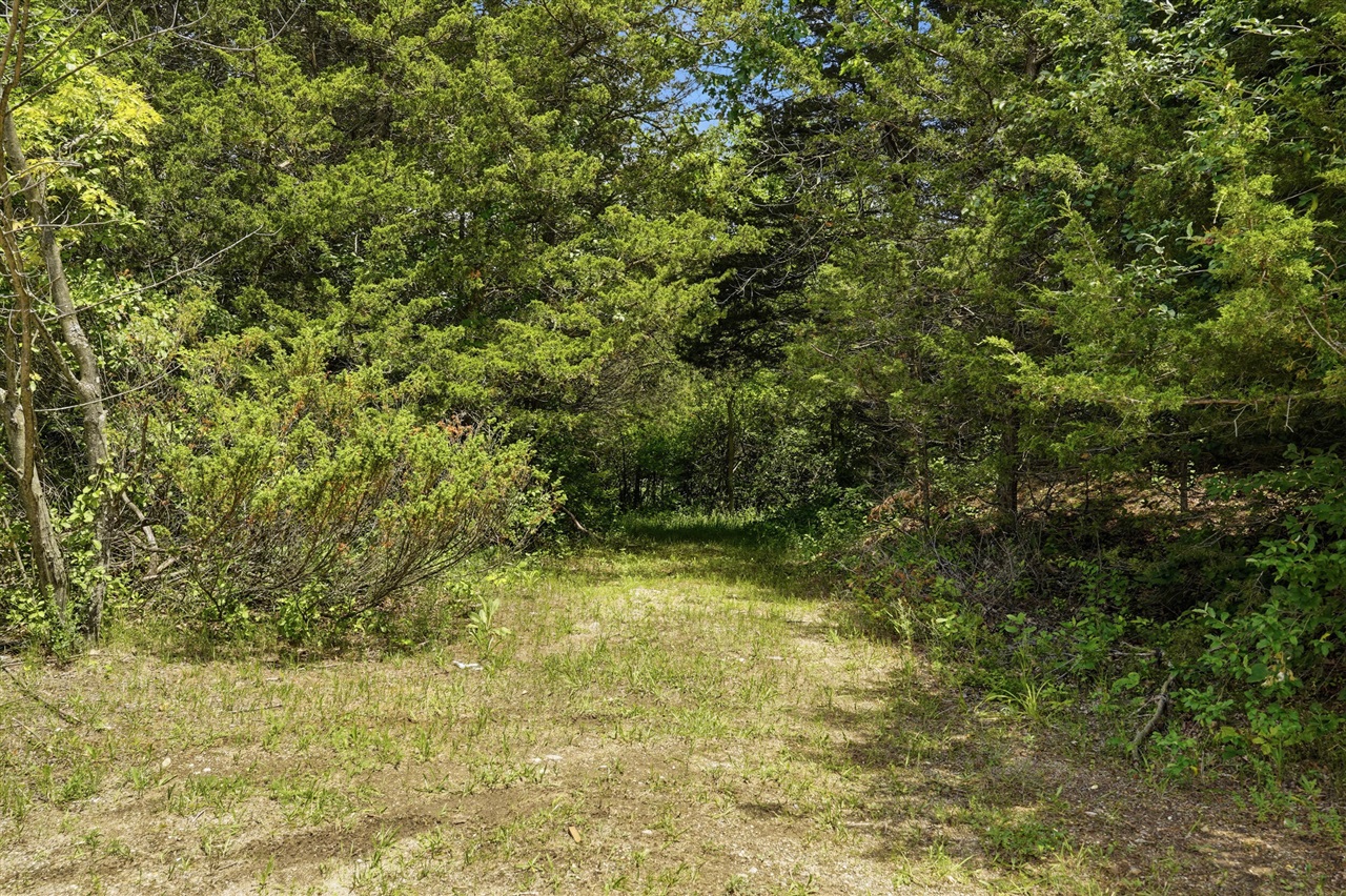 10525 Antcliff Property Photo 54