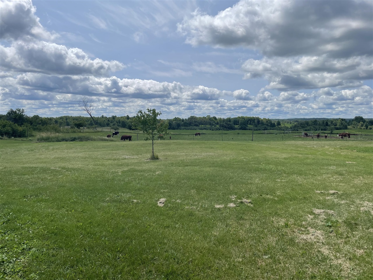 4535 20 Mile Road Property Photo 6